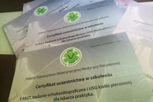 42 KOMPETENCJE 42 KOMPETENCJE